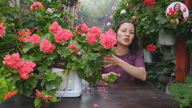 Mis 8 plantas favoritas del momento, todas están hermosas 🤤😍🧡💚  | Jardín Diaz