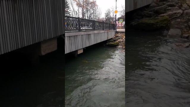 547577c6fe269e1cf30e3b4433c9e0ab