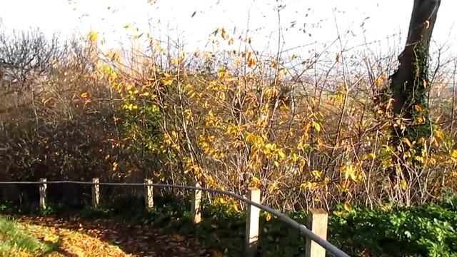 Where I Live In Wales. Dinbych/Denbigh  #Wales.  WelshBloke Walking