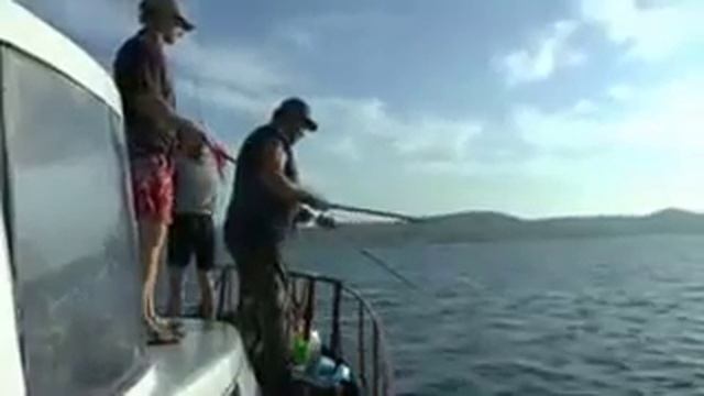 'МУСКАТ' - рыбалка на ставриду в Коктебеле