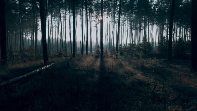 Pexels Ruslan Sikunov 15720111 Original