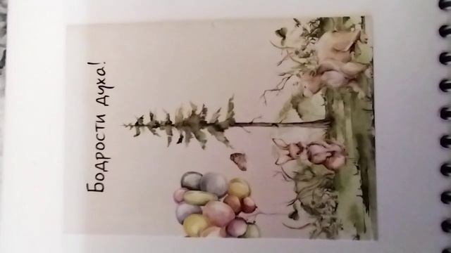 Db33fc89f0557e7ca27fca0d4439685e