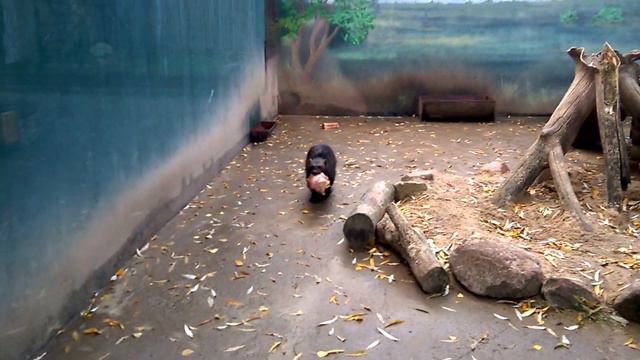 6189876dc45a18e630ce83bb78e1cbd3