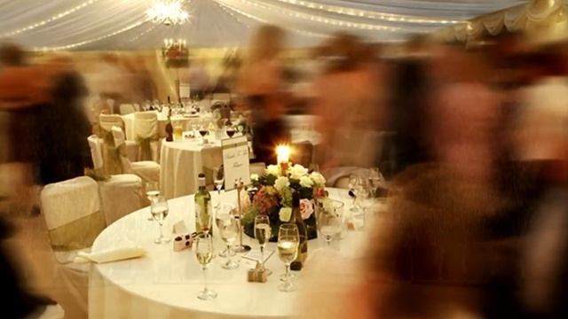 Никто не знал, что она скрывала под платьем, но собака всё поняла! До слёз!