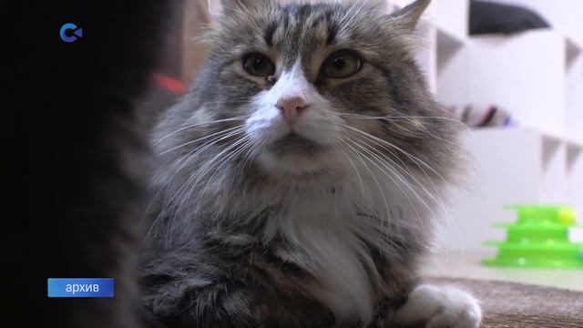 595d274387ae524a01c853180b1b474c