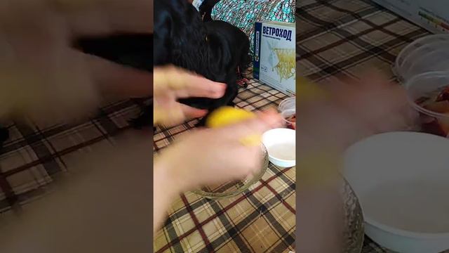 КЛЕЙ ИЗ ГАЛАМАРТА ПРОВЕРКА СЛАЙМ *МАШАБОНЯ*
