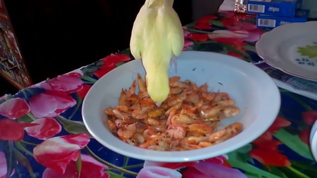 Ea77b0811e3516164576a67e4d9ba5ba