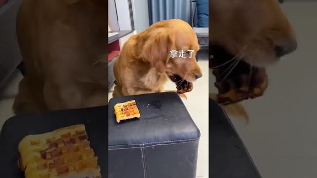 97a09602775bd43ac65cab124d425e16