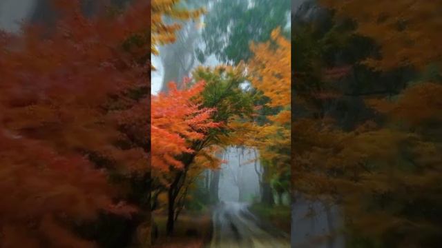 A565e91caa015350d1d3c8f96a585187