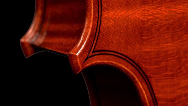 Davide Sora   Viola CV 2015