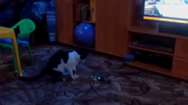 SYMA S109G APACHE AN-64 VS CAT