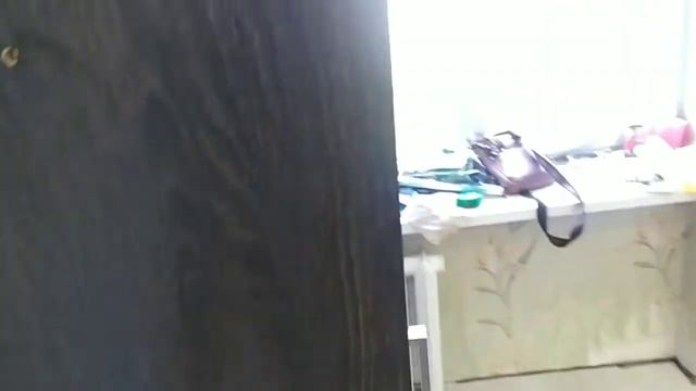 7b1f15e7eac271e69861da5d276323a1