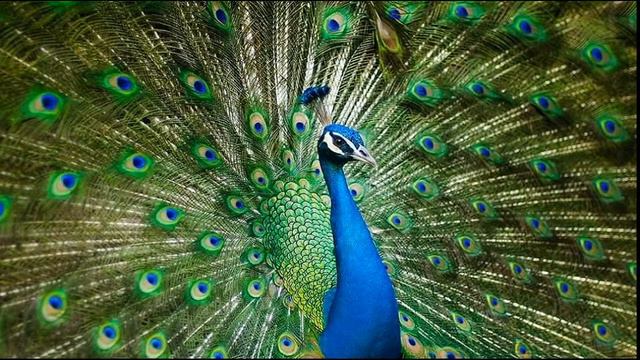 Все про все