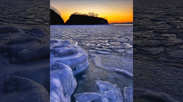 Морские блинчики