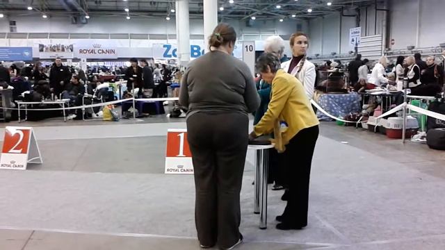 Хрустальный Кубок Украины 2012