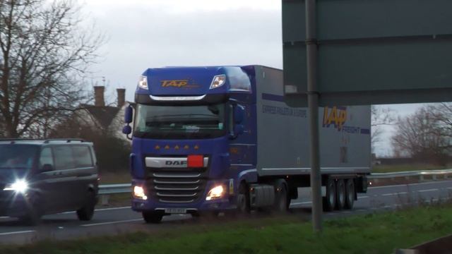 DAF XF - TAP FREIGHT - A1M motorway evening trucks spotting