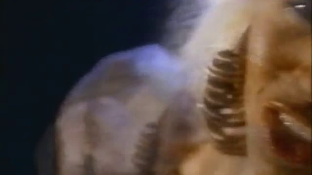 Cd65ad66e8431505a9b8f3206d6083e3