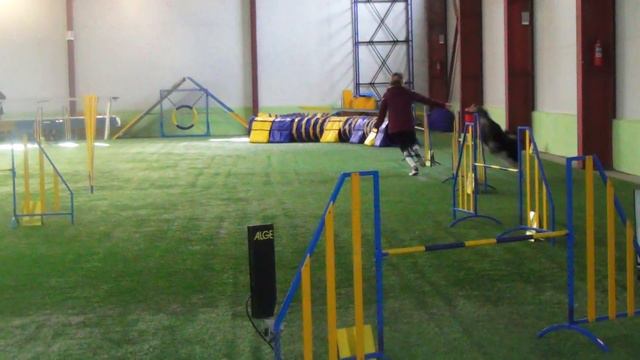 Охрей Виктория и аусси Хаку. Первенство СПб. Джампинг