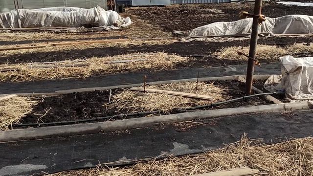 Открыли сезон 2022! Что сделали сегодня на участке, Омск, 05.04.2022г.