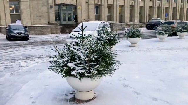 Вот такая прекрасная прогулка 26.11.-9пошли прогуляться