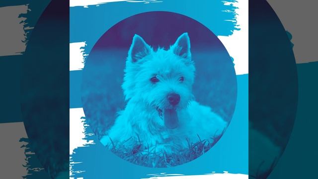 Музыка (Одинокие собаки)