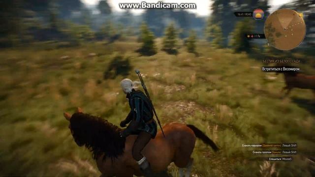Witcher3 Стая диких лошадей