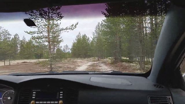 Летняя ночь на севере. Часть 14. Четыре часа утра, выезд из леса.