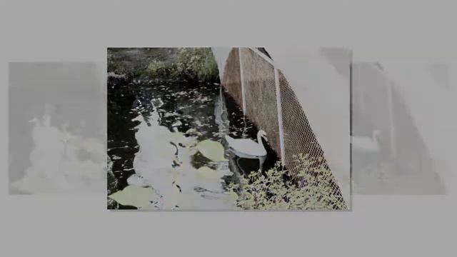 Парк Горького  Москва 2013