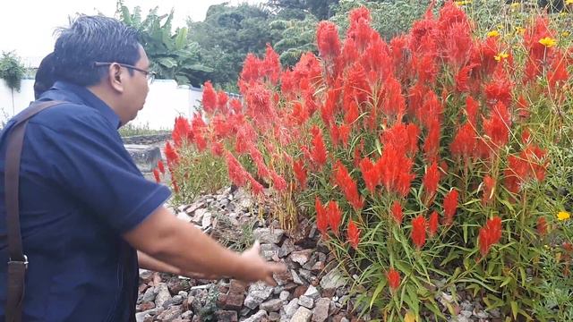 5abbbe3b9e5a72cb113b66468ee74a88