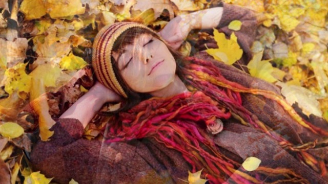 8d223f002cd4731524912760361f5478