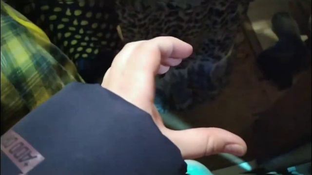 VLOG . Как мы коледуем в деревне) непредсказуемый конец 😁