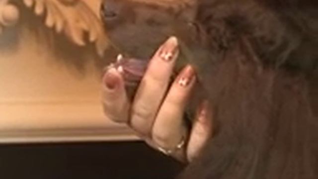 Dbbc1f4a9c86d7a33e618e45193543b3