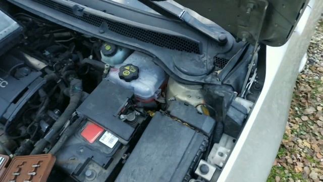 Хозяйство в порядке