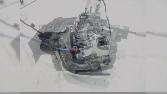 Авто-шоу-программа-концерт