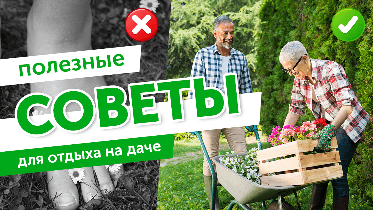 Дачный отдых и диабет. Полезные советы для отдыха на даче для людей с сахарным диабетом.