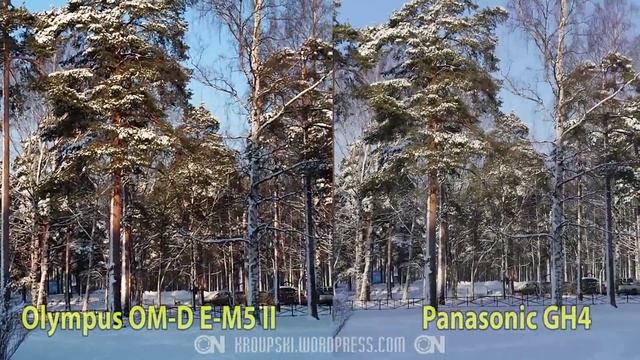 Olympus OM-D E-M5 II - Image Stabilization Vs Panasonic GH4