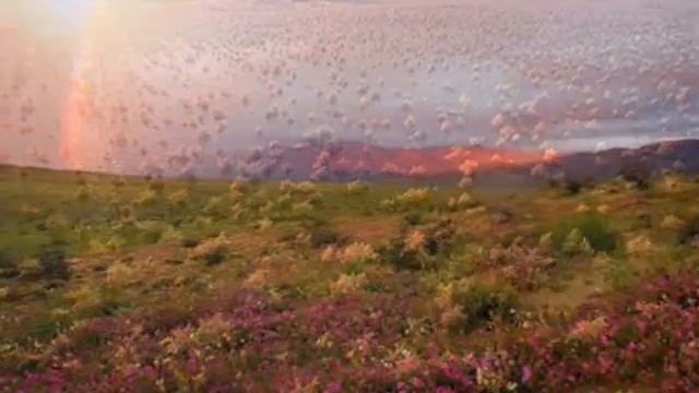 Кто Сотворил Весь Мир