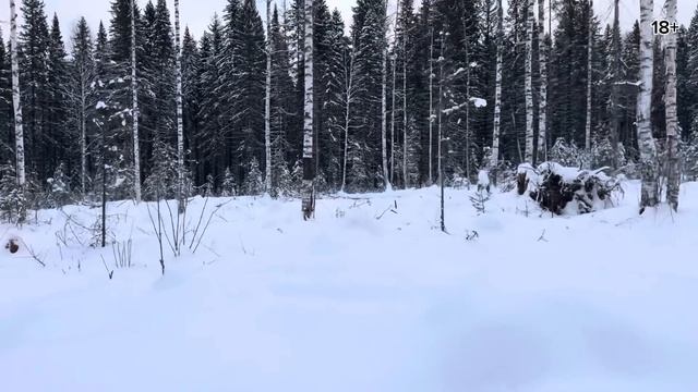 Охота, так как она  бывает чаще всего…