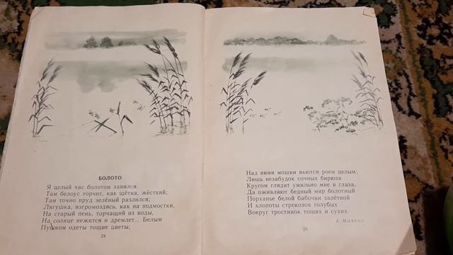 Аполлон Майков. Болото