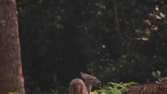 2030826dc994199c17847c36b549569d