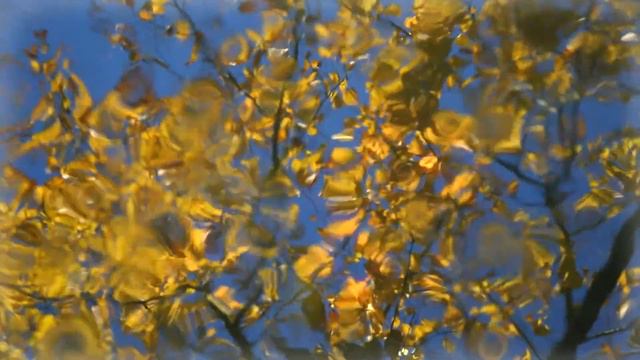 Victoria Ivanova - Soprano. Schubert - Auf Dem Wasser Zu Singen / Баркарола