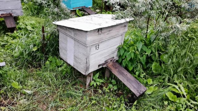 КАК ЖИТЬ КАК ЖИТЬ... Каждый день одно и тоже.