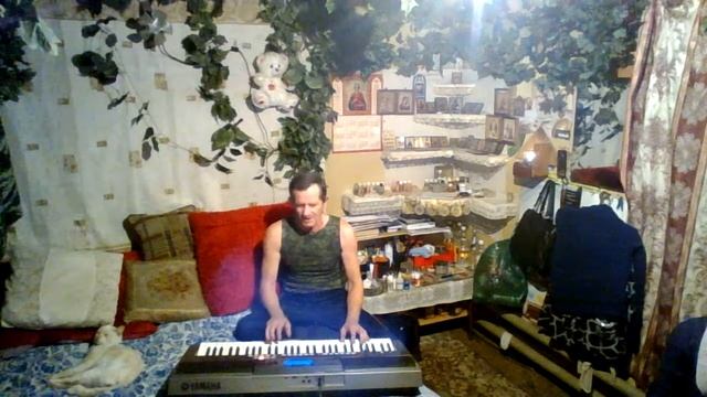 Верный вороной