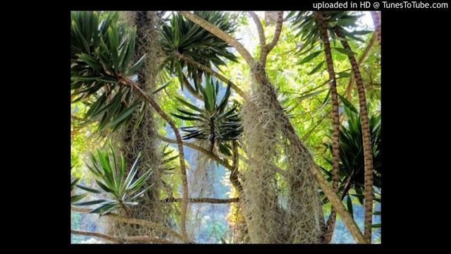 Today's Tango Is... Clavel Del Aire - Florindo Sassone 16-08-1962