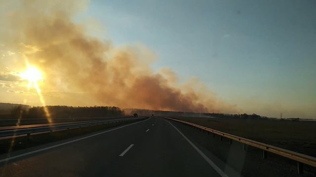 Лесной пожар горит трава