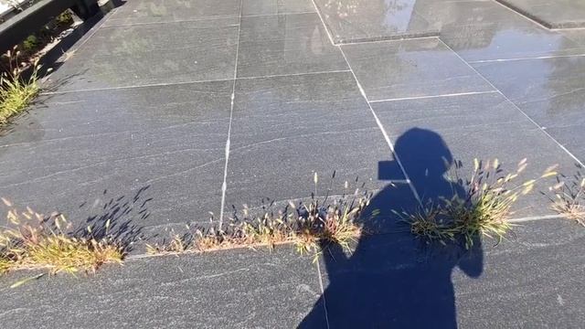 Уборка могил ВЛАДИКАВКАЗ