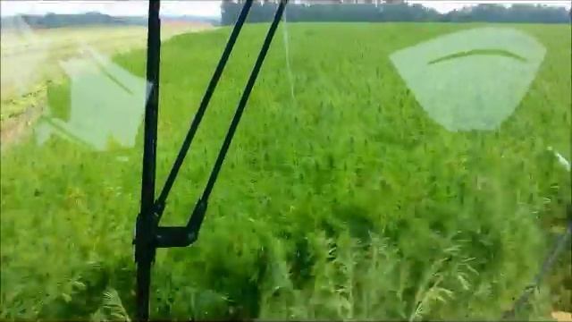 Récolte Du Chanvre 2015 En Nord Pas De Calais