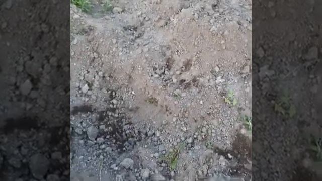 B0b0b10335edb0ab27b3427807750299