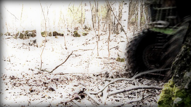 Лесной Тамбов 2013