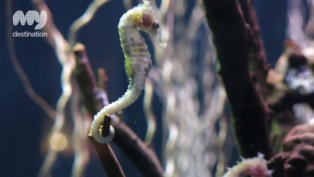 Phuket Aquarium - Phuket